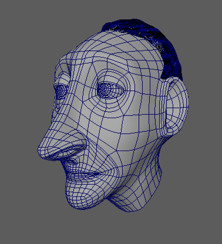 Frank head wireframe