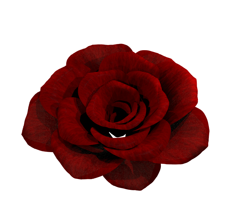 Procedural rose render