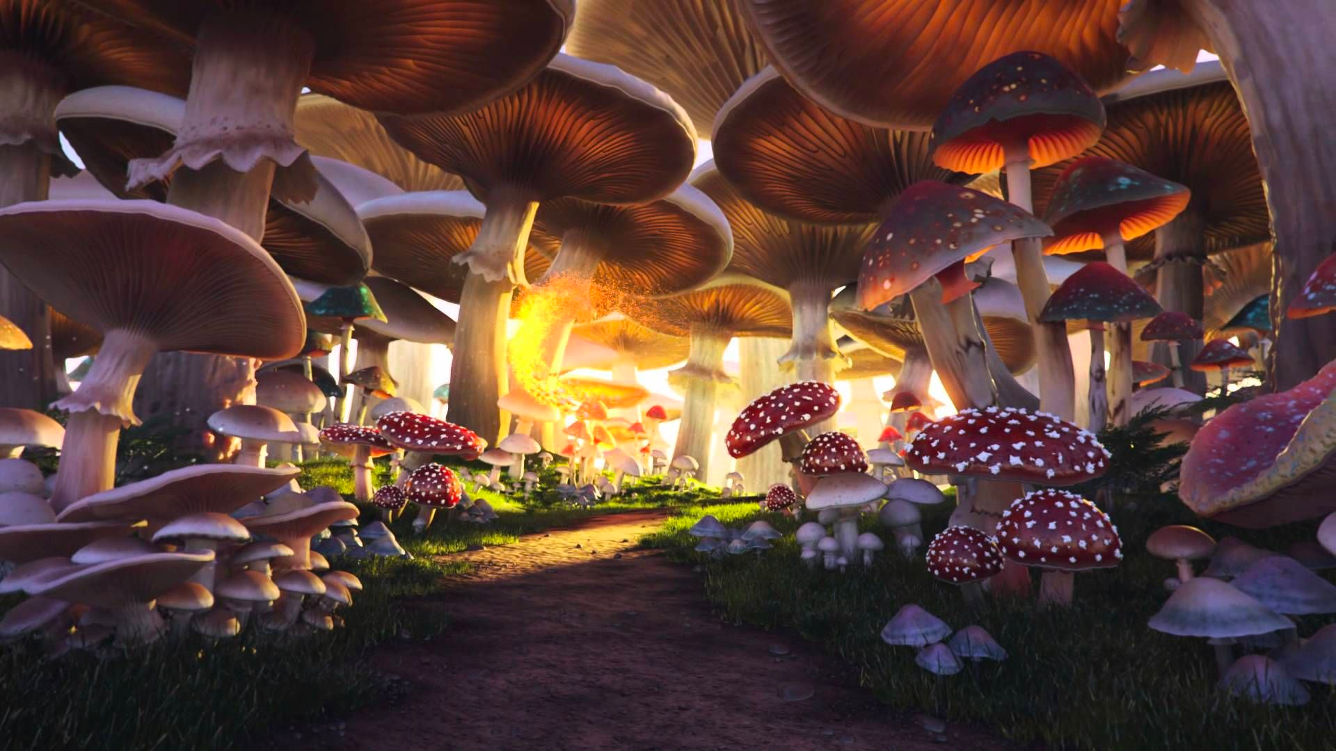Mushroom reference